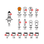 ESTUCHE LAMPARAS H7 24V (30 PIEZAS) - Imagen 2